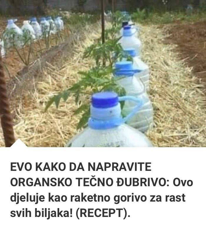 EVO KAKO DA NAPRAVITE ORGANSKO TEČNO ĐUBRIVO: Ovo djeluje kao raketno gorivo za rast svih biljaka! (RECEPT)