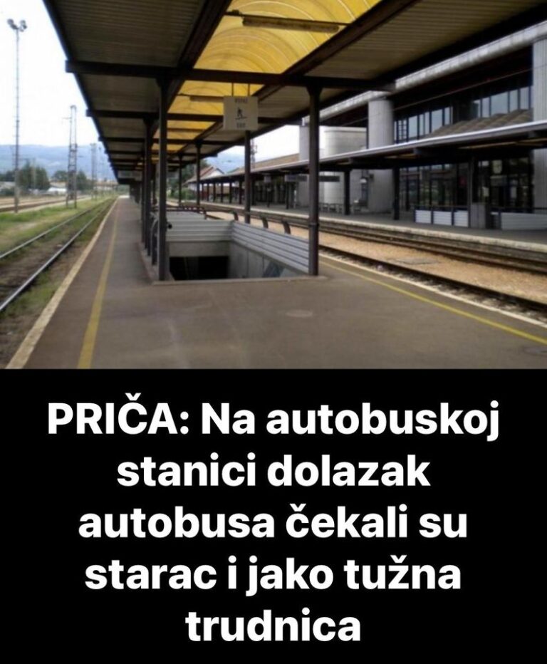 PRIČA: Na autobuskoj stanici dolazak autobusa čekali su starac i jako tužna trudnica