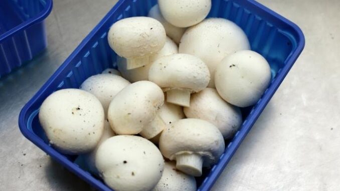 PERETE LI GLJIVE PRIJE PEČENJA: Pravite veliku grešku, kuharica otkrili kako se one ustvari spremaju (VIDEO)