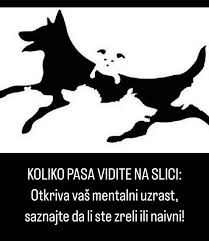 TEST-KOLIKO PASA VIDITE NA SLICI: Otkriva vaš mentalni uzrast, saznajte da li ste zreli ili naivni!