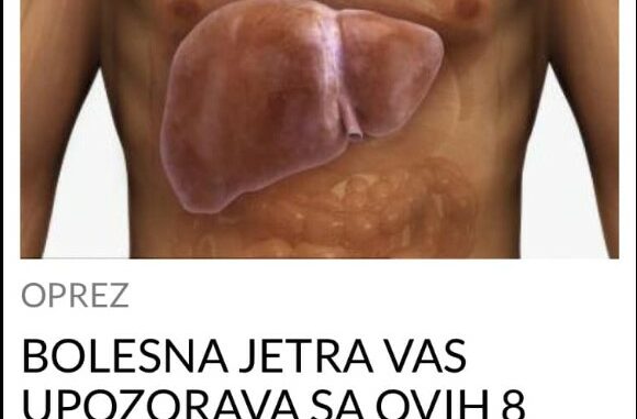 Jetra je organ s brojnim funkcijama za organizam