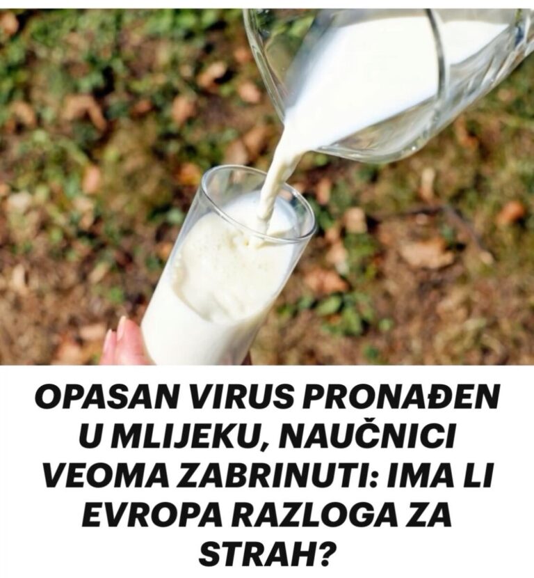OPASAN VIRUS PRONAĐEN U MLIJEKU, NAUČNICI VEOMA ZABRINUTI: IMA LI EVROPA RAZLOGA ZA STRAH?