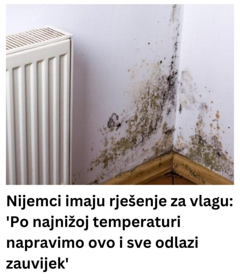 Nijemci imaju rješenje za vlagu: ‘Po najnižoj temperaturi napravimo ovo i sve odlazi zauvijek’