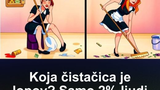 Koja čistačica je lopov? Samo 2% ljudi uoči lopova za manje od 10 sekundi