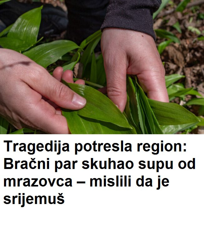 TRAGEDIJA POTRESLA REGIJU: Bračni par skuhao supu OD MRAZOVCA – mislili da je SRIJEMUŠ