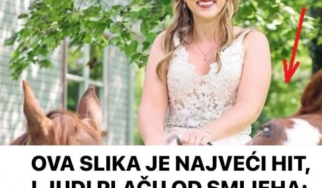 OVA SLIKA JE NAJVEĆI HIT, LJUDI PLAČU OD SMIJEHA: Kad vidite donji dio slike NEĆE VAM BITI DOBRO