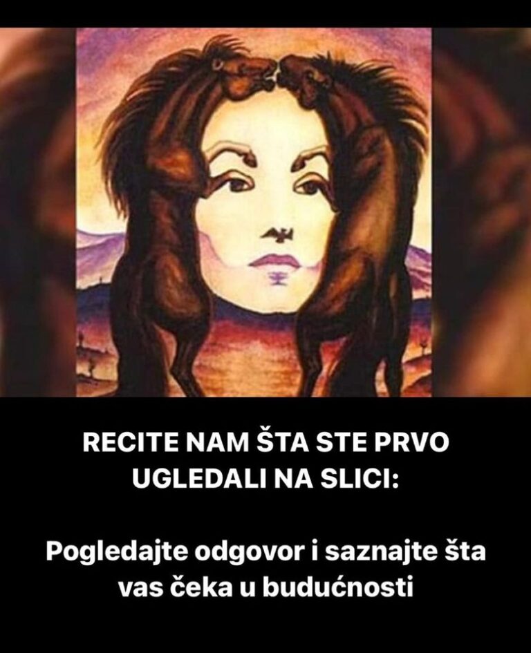 RECITE NAM ŠTA STE PRVO UGLEDALI NA SLICI: Pogledajte odgovor i saznajte šta vas čeka u budućnosti