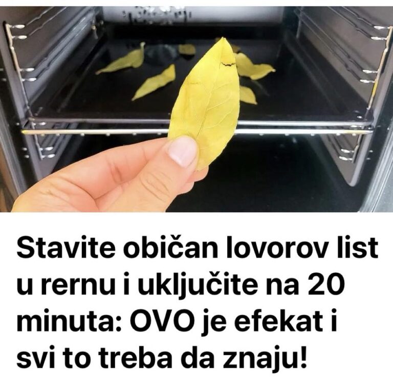 Stavite običan lovorov list u rernu i uključite na 20 minuta: OVO je efekat i svi to trebaju znati!