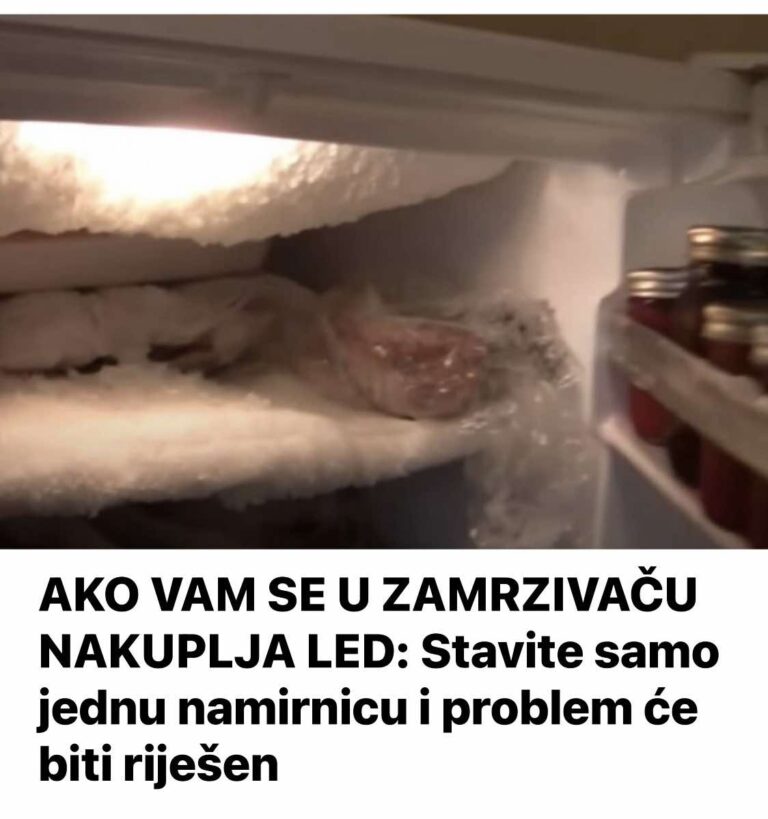 AK0 VAM SE U ZAMRZIVAČU NAKUPLJA LED: Stavite SAM0 jednu namirnicu i PR0BLEM će biti riješen
