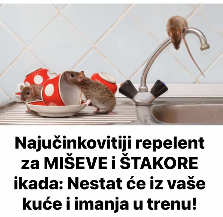 Najučinkovitiji repelent za MIŠEVE i ŠTAKORE ikada: Nestat će iz vaše kuće i imanja u trenu!