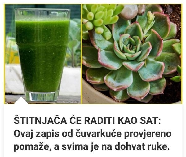 Imate li problema sa štitnjačom? Ovaj prirodni zapis od čuvarkuće provjereno pomaže, evo kako da ga napravite!