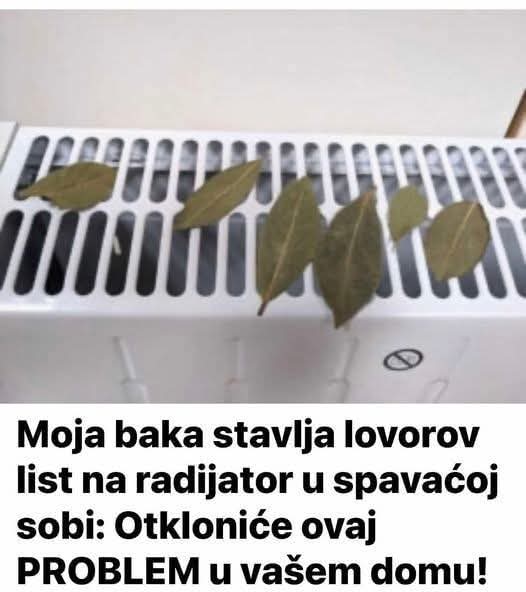 Moja baka stavlja lovorov list na radijator u spavaćoj sobi: Otkloniće ovaj PROBLEM u vašem domu!