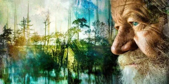 Šta smo to uradili sa životom: Imamo velike kuće, a male porodice, mnogo diploma, nimalo znanja!