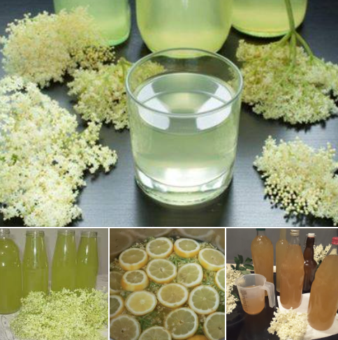 SIRUP OD ZOVE…IMA D0STA RECEPATA ALI OVAJ JE NAJBOLJI