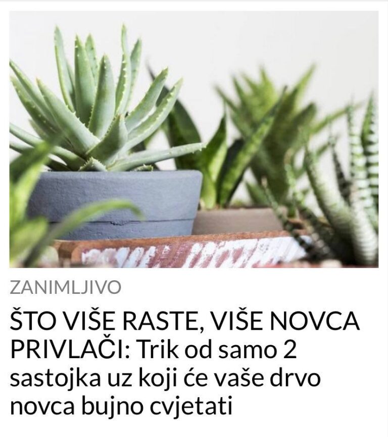 Što više raste, više novca privlači: Trik od samo 2 sastojka uz koji će vaše drvo novca bujno cvjetati