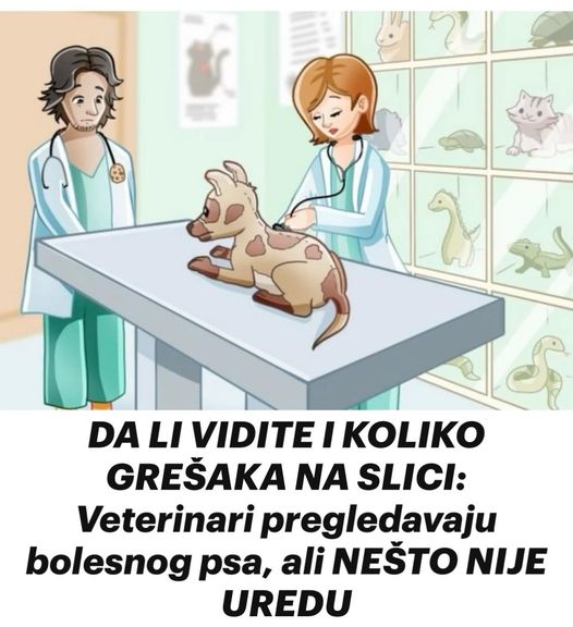 DA LI VIDITE I KOLIKO GREŠAKA NA SLICI: Veterinari pregledavaju bolesnog psa, ali NEŠTO NIJE UREDU