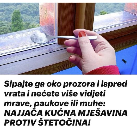 Sipajte ga oko prozora i ispred vrata i nećete više vidjeti mrave, paukove ili muhe: NAJJAČA KUĆNA MJEŠAVINA PROTIV ŠTETOČINA!