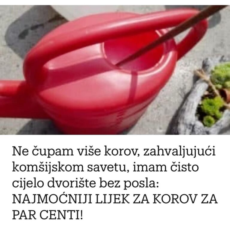 Ne čupam više korov, zahvaljujući komšijskom savetu, imam čisto cijelo dvorište bez posla: NAJMOĆNIJI LIJEK ZA KOROV ZA PAR CENTI!