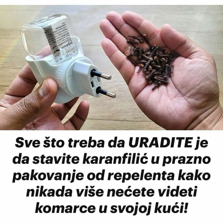 Sve što treba da URADITE je da stavite karanfilić u prazno pakovanje od repelenta kako nikada više nećete videti komarce u svojoj kući!