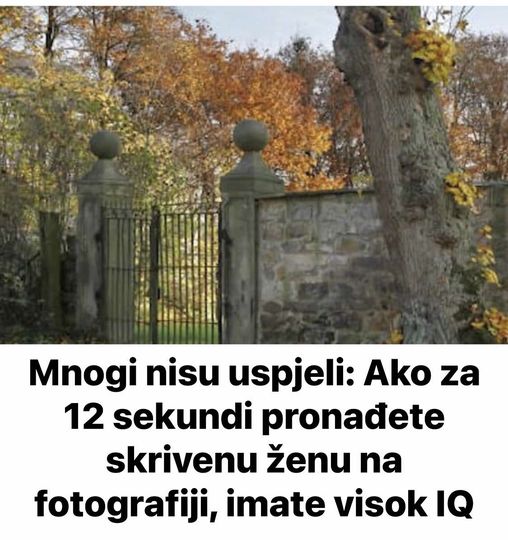 Mnogi nisu uspjeli: Ako za 12 sekundi pronađete skrivenu ženu na fotografiji, imate visok IQ