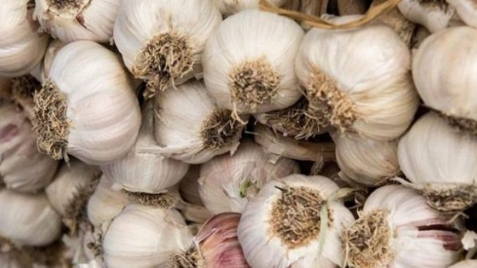 STAVILA SAM BIJELI LUK POD JASTUK PRIJE SPAVANJA: Evo Šta Mi Se Ujutro Dogodilo, Uradit Ćete Isto – RAZLOG JE JAKO DOBAR!