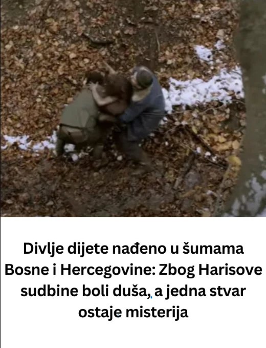 Divlje dijete nađeno u šumama Bosne i Hercegovine: Zbog Harisove sudbine boli duša, a jedna stvar ostaje misterija