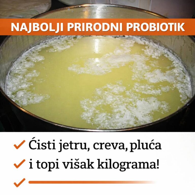 Najbolji prirodni probiotik – snaga iz prirode za vaše zdravlje