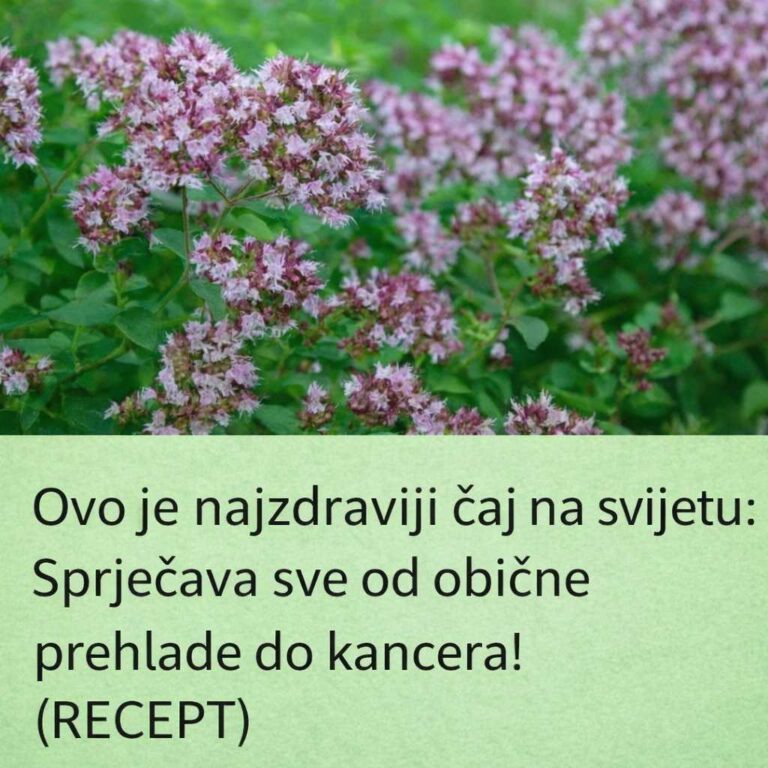 0V0 je najzdraviji čaj na svijetu: Sprječava sve 0D obične prehlade D0 kancera!