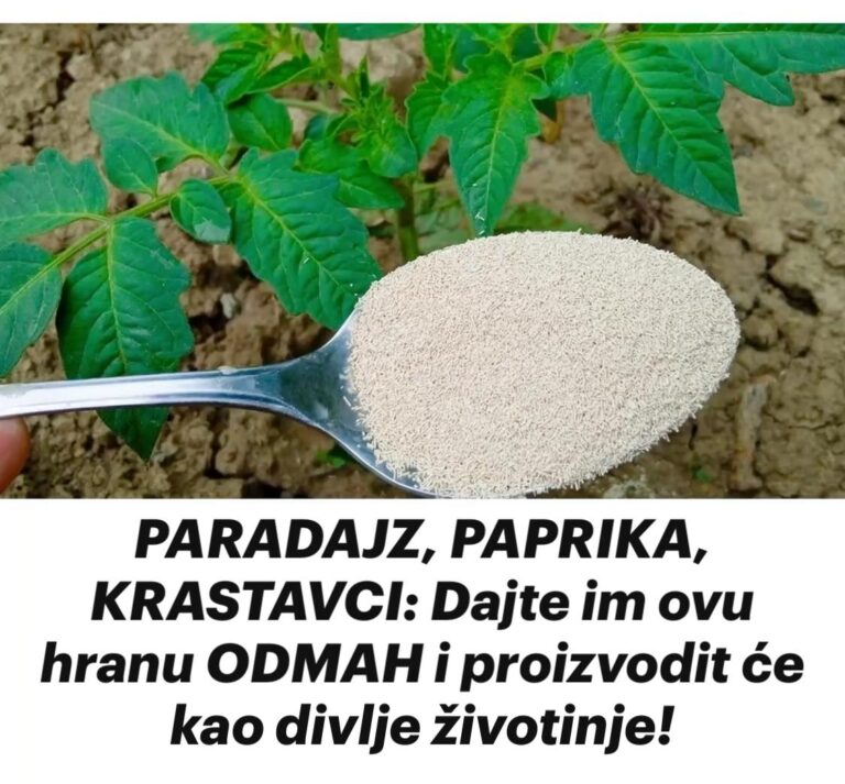 PARADAJZ, PAPRIKA, KRASTAVCI: Dajte im ovu hranu ODMAH i proizvodit će kao divlje životinje!
