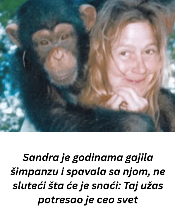 Sandra je godinama gajila šimpanzu i spavala sa njom, ne sluteći šta će je snaći: Taj užas potresao je ceo svet