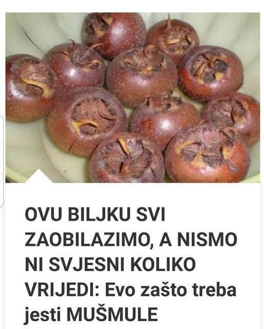OVU BILJKU SVI ZAOBILAZIMO, A NISMO NI SVJESNI KOLIKO VRIJEDI: Evo zašto treba jesti MUŠMULE