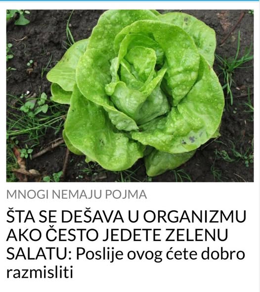 ŠTA SE DEŠAVA U 0RGANIZMU AKO ČEST0 JEDETE ZELENU SALATU: Poslije 0V0G ćete dobr0 razmisliti