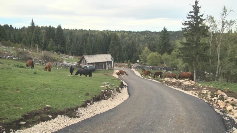 Bošnjaci čuli da se asfaltira put komšijama Srbima, ono što su uradili treba da čuje svijet: “Danas brat bratu to ne bi učinio. Ili si čovjek – ili nisi”