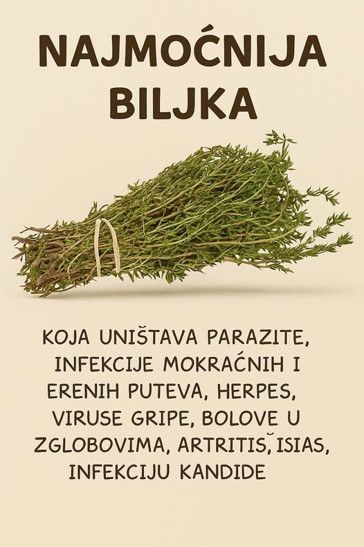 RECEPT ZA PRIRODNO LJEKOVITO ULJE: Prirodni saveznik protiv infekcija