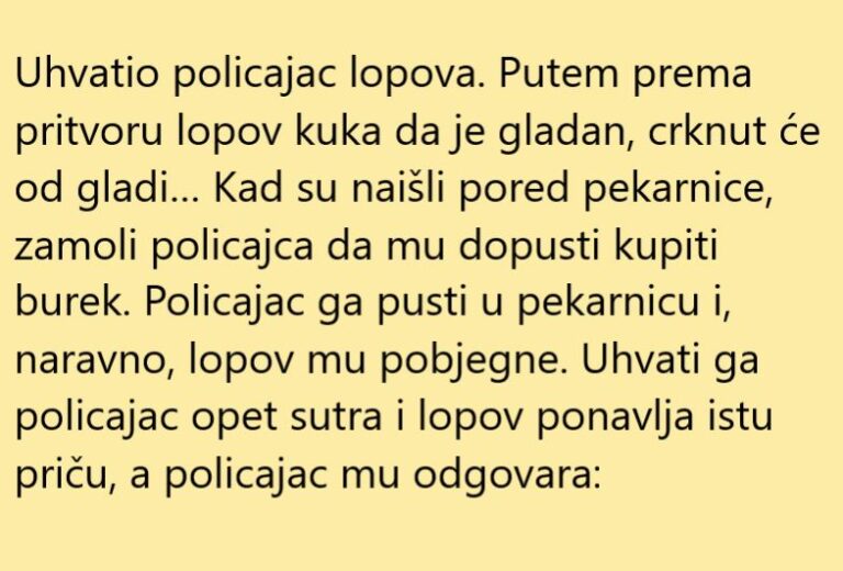 VIC DANA: Burek za lopova