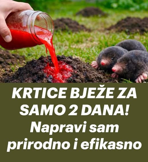 KRTICE BJEŽE ZA SAMO 2 DANA! Napravi sam prirodno i efikasno