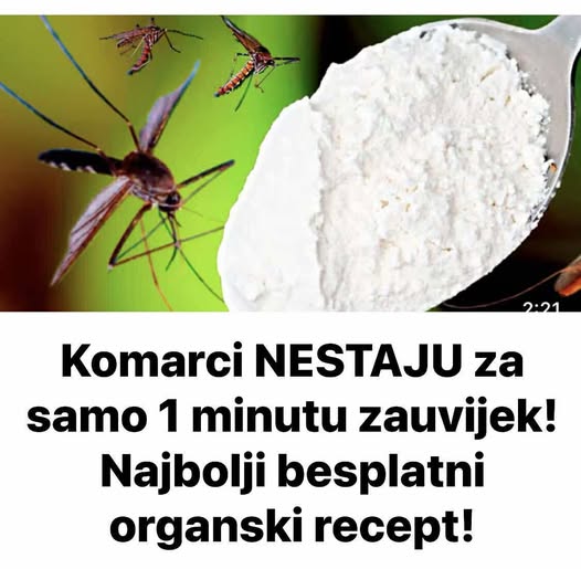 Komarci NESTAJU za samo 1 minutu zauvijek! Najbolji besplatni organski recept!
