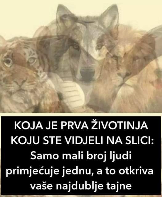 Koja je prva ŽIV0TINJA koju vidite na F0T0GRAFIJI: samo je NEK0LIK0 ljudi primijeti, a ona 0TKRIVA vaše najdublje tajne