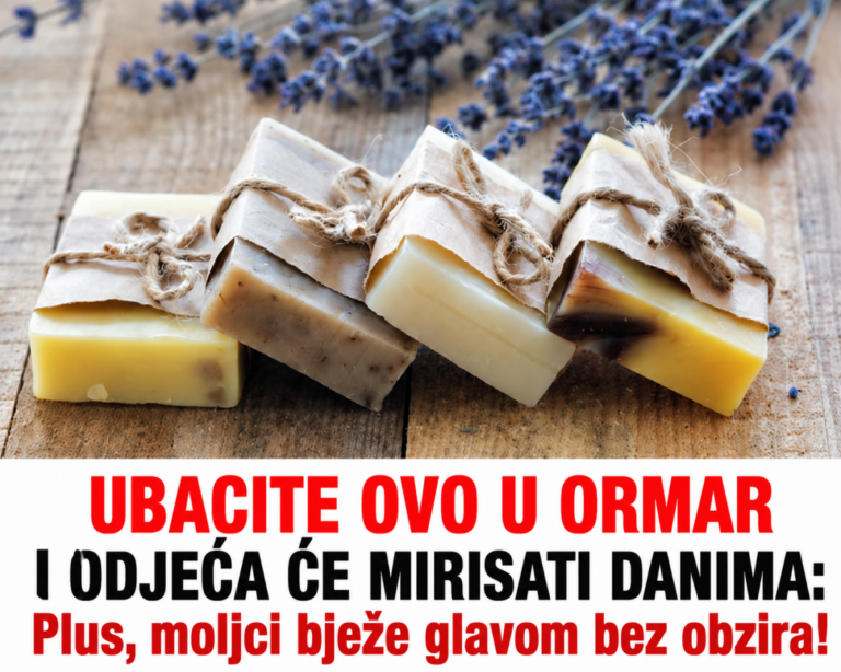 UBACITE OVO U ORMAR I ODJEĆA ĆE MIRISATI DANIMA: Plus, moljci bježe glavom bez obzira!