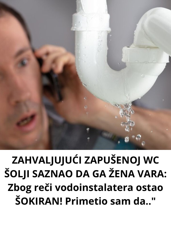 ZAHVALJUJUĆI ZAPUŠENOJ WC ŠOLJI SAZNAO DA GA ŽENA VARA: Zbog reči vodoinstalatera ostao ŠOKIRAN! Primetio sam da..”