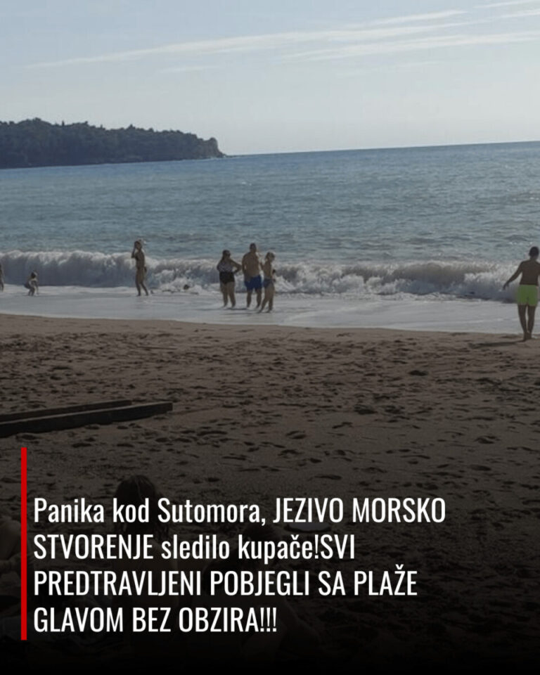 Panika kod Sutomora, JEZIVO MORSKO STVORENJE sledilo kupače!SVI PREDTRAVLJENI POBJEGLI SA PLAŽE GLAVOM BEZ OBZIRA!!!