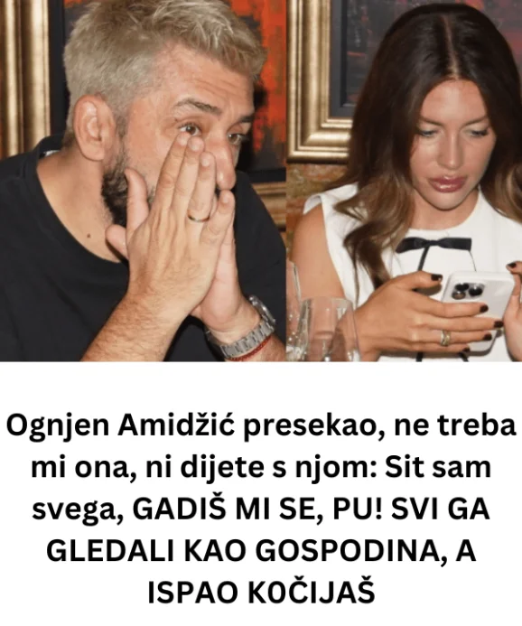 Ognjen Amidžić presekao, ne treba mi ona, ni dijete s njom: Sit sam svega, GADIŠ MI SE, PU! SVI GA GLEDALI KAO GOSPODINA, A ISPAO K0ČIJAŠ