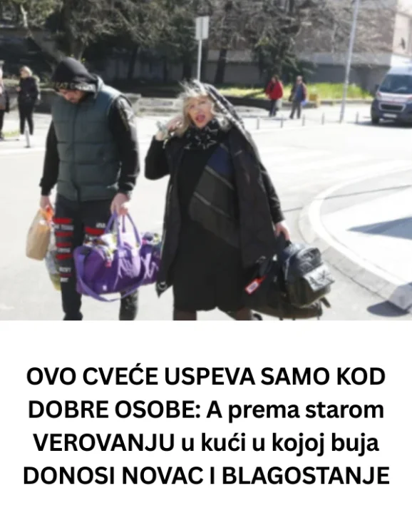 Pala na najniže grane, a do nedavno punila dvorane! Pjevačica (71) skuplja sve što nađe pored kontejnera: “Ne bih mogla da živim samo od penzije, izdao me moj glas ali i porodica”