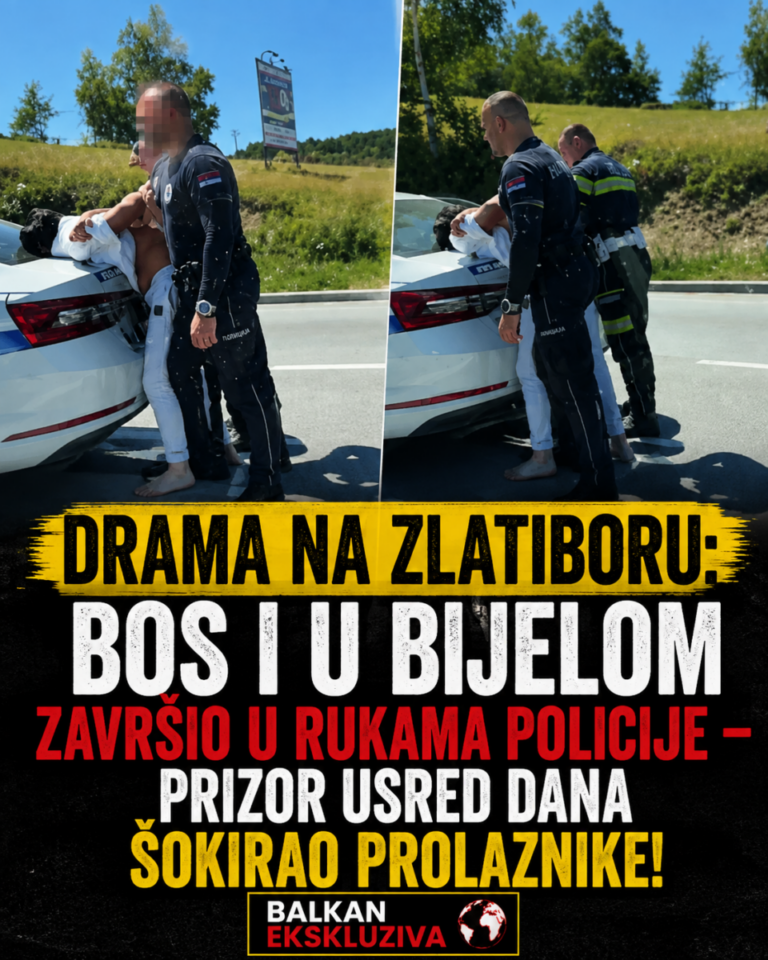 DRAMA NA ZLATIBORU: Bos i u bijelom završio u rukama policije – prizor usred dana šokirao prolaznike!