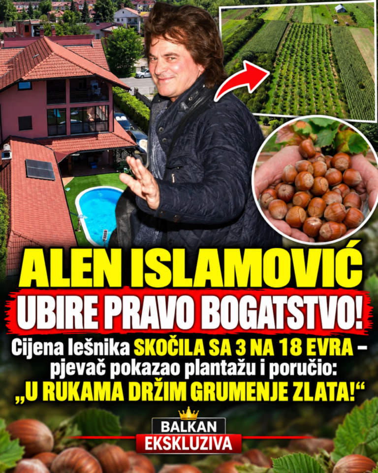 ALEN ISLAMOVIĆ UBIRE PRAVO BOGATSTVO! Cijena lešnika SKOČILA SA 3 NA 18 EVRA – pjevač pokazao plantažu i poručio: „U RUKAMA DRŽIM GRUMENJE ZLATA!“