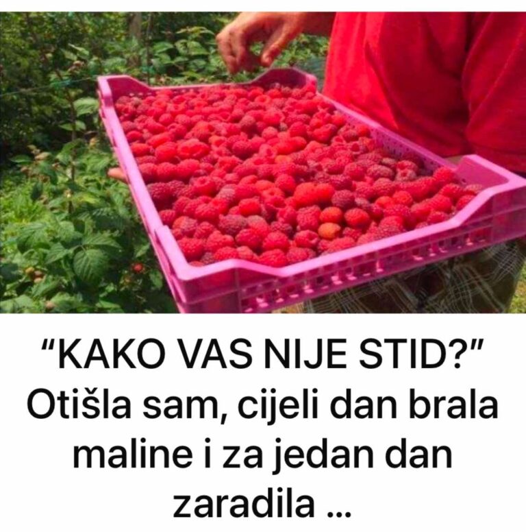 “KAKO VAS NIJE STID?” Otišla sam, cijeli dan brala maline i za jedan dan zaradila …