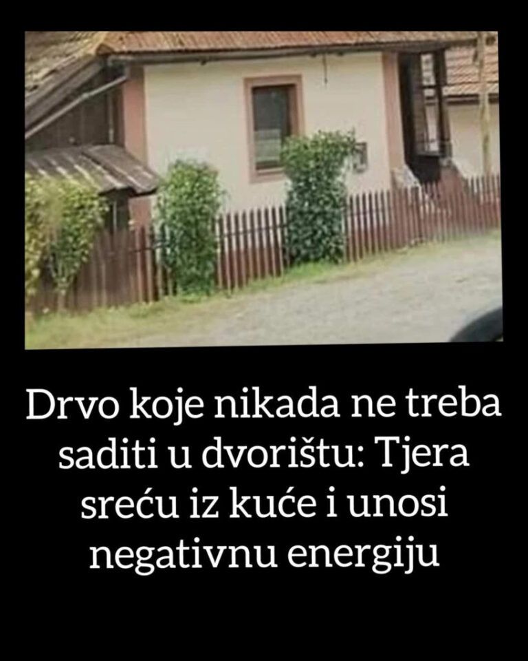 Drvo koje nikada ne treba saditi u dvorištu: Tjera sreću iz kuće i unosi negativnu energiju
