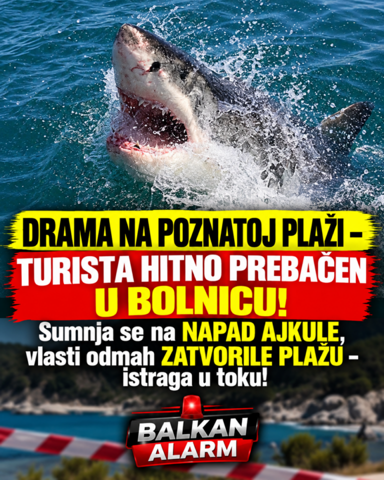 DRAMA NA POZNATOJ PLAŽI – TURISTA HITNO PREBAČEN U BOLNICU! Sumnja se na NAPAD AJKULE, vlasti odmah ZATVORILE PLAŽU – istraga u toku!
