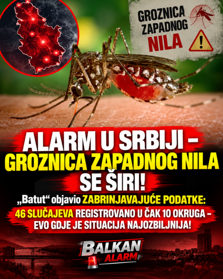 ALARM U SRBIJI – GROZNICA ZAPADNOG NILA SE ŠIRI! „Batut“ objavio ZABRINJAVAJUĆE PODATKE: 46 SLUČAJEVA REGISTROVANO U ČAK 10 OKRUGA – EVO GDJE JE SITUACIJA NAJOZBILJNIJA!