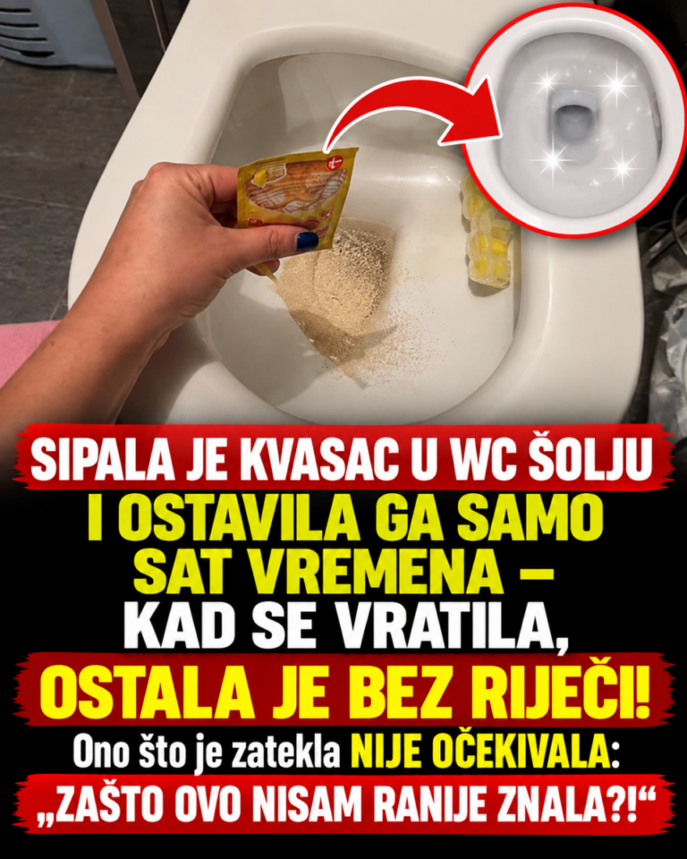 SIPALA JE KVASAC U WC ŠOLJU I OSTAVILA GA SAMO SAT VREMENA – KAD SE VRATILA, OSTALA JE BEZ RIJEČI! Ono što je zatekla NIJE OČEKIVALA: „ZAŠTO OVO NISAM RANIJE ZNALA?!“